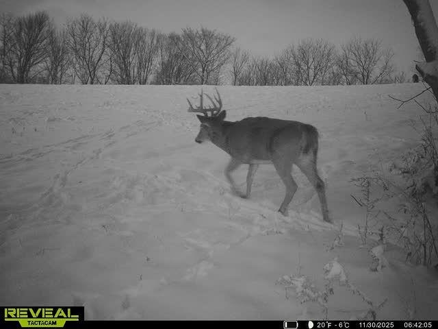 17797 Dayton Ridge Road Muscoda, WI 53573 - Photo 4 of 75