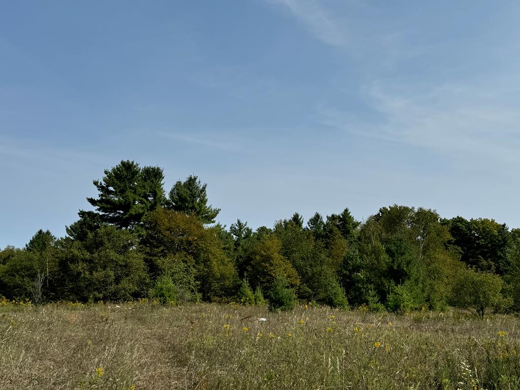 Lot 3 Division Road Egg Harbor, WI 54209 - Photo 5 of 11