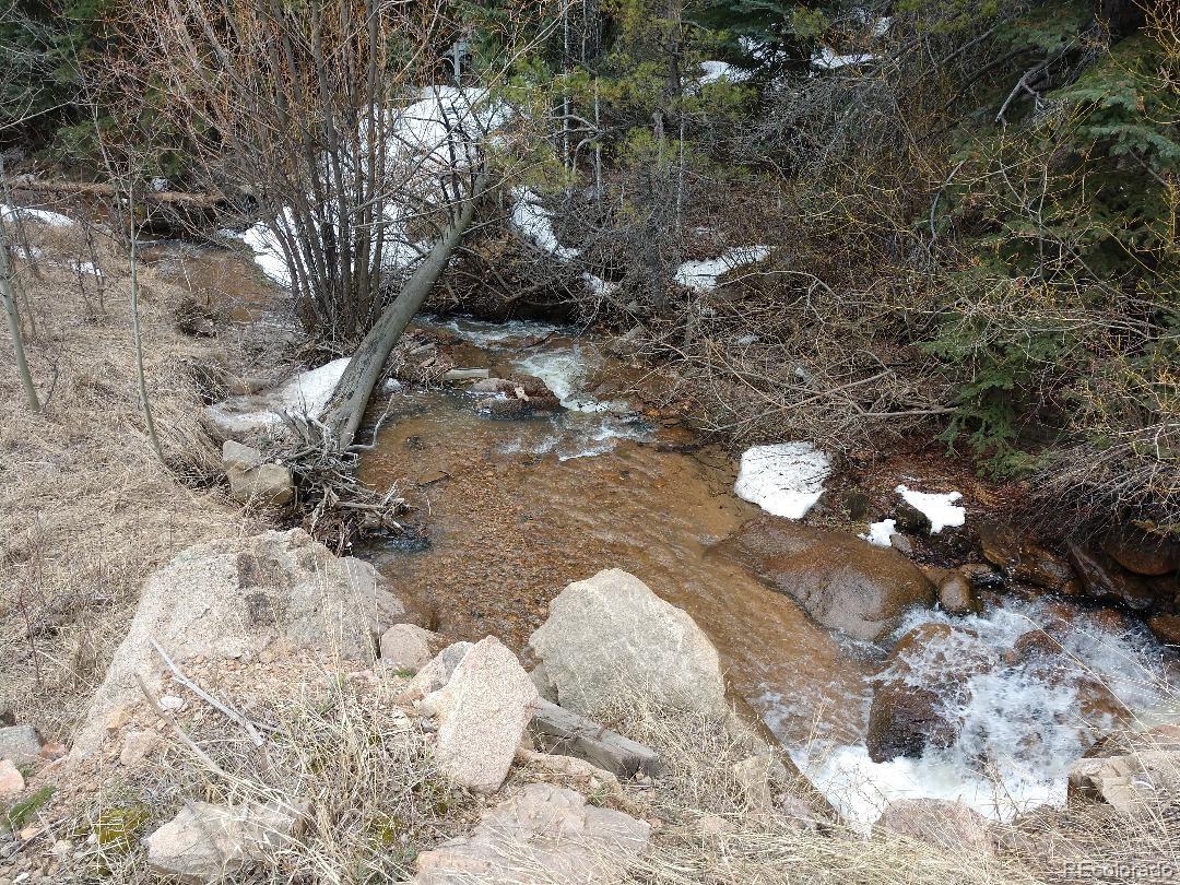 a view of a tree in a yard