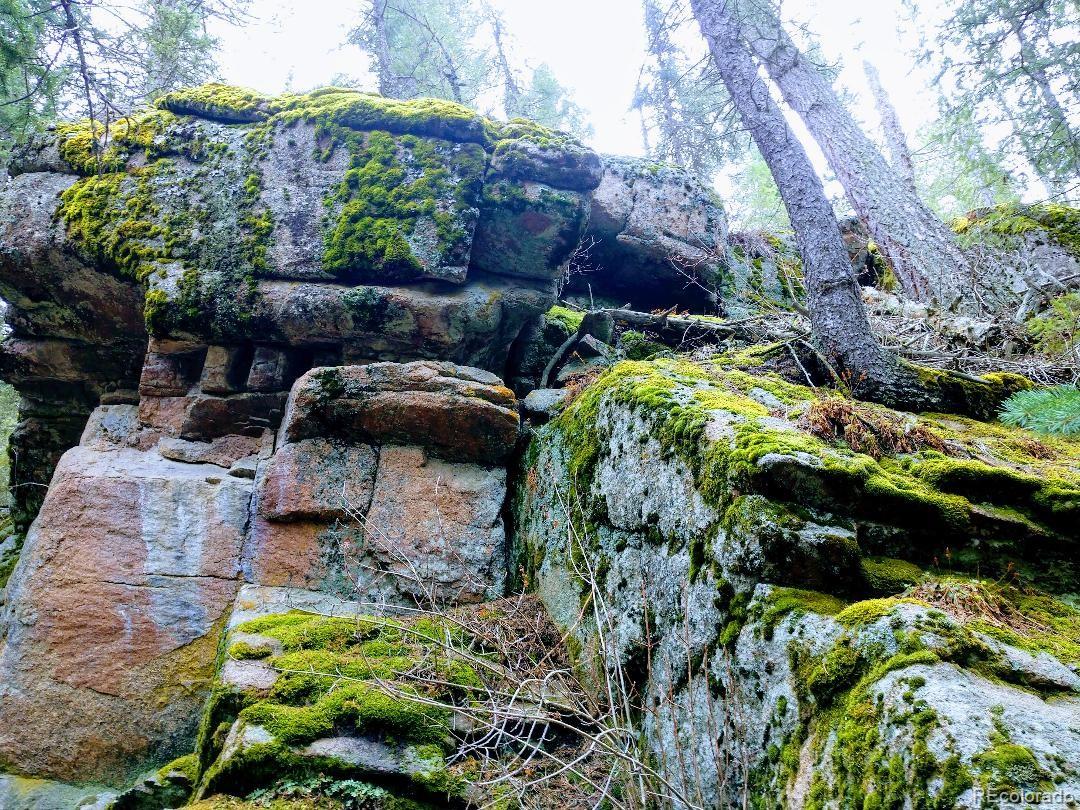 8116 South Brook Forest Road Evergreen, CO 80439 - Photo 4 of 8 a view of a garden with sitting area