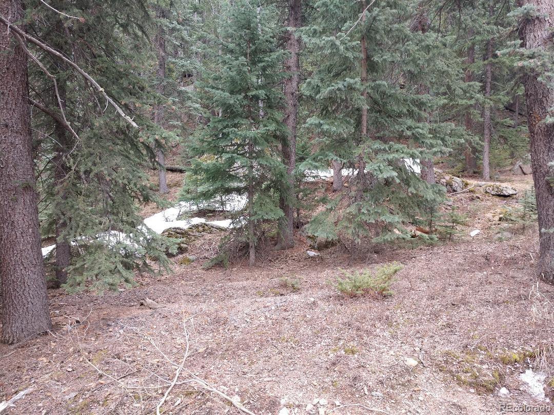 8116 South Brook Forest Road Evergreen, CO 80439 - Photo 6 of 8 a view of a yard with large trees