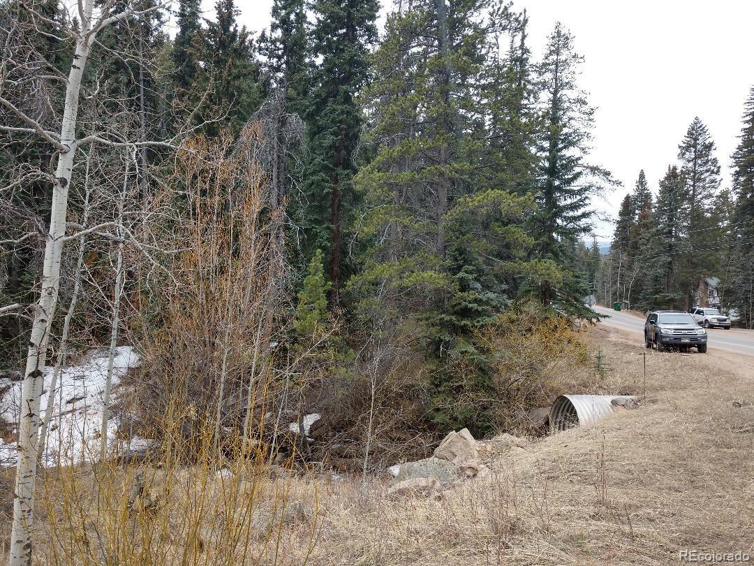 8116 South Brook Forest Road Evergreen, CO 80439 - Photo 7 of 8 a view of a yard with a tree