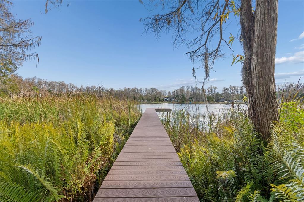 3812 Little Road Lutz, FL 33548 - Photo 84 of 99