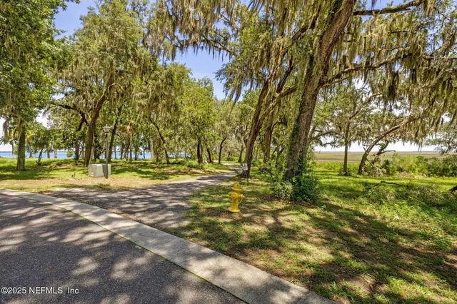 a view of outdoor space with trees all around