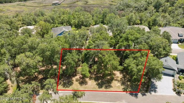 a view of a yard with plants