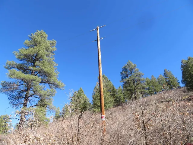 a view of a house with a yard and tree s