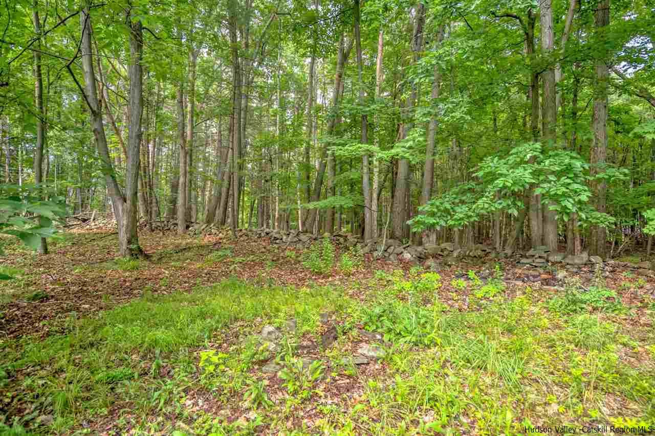 997 Sunny Hill Road Freehold, NY 12431 - Photo 29 of 31 Photo 29