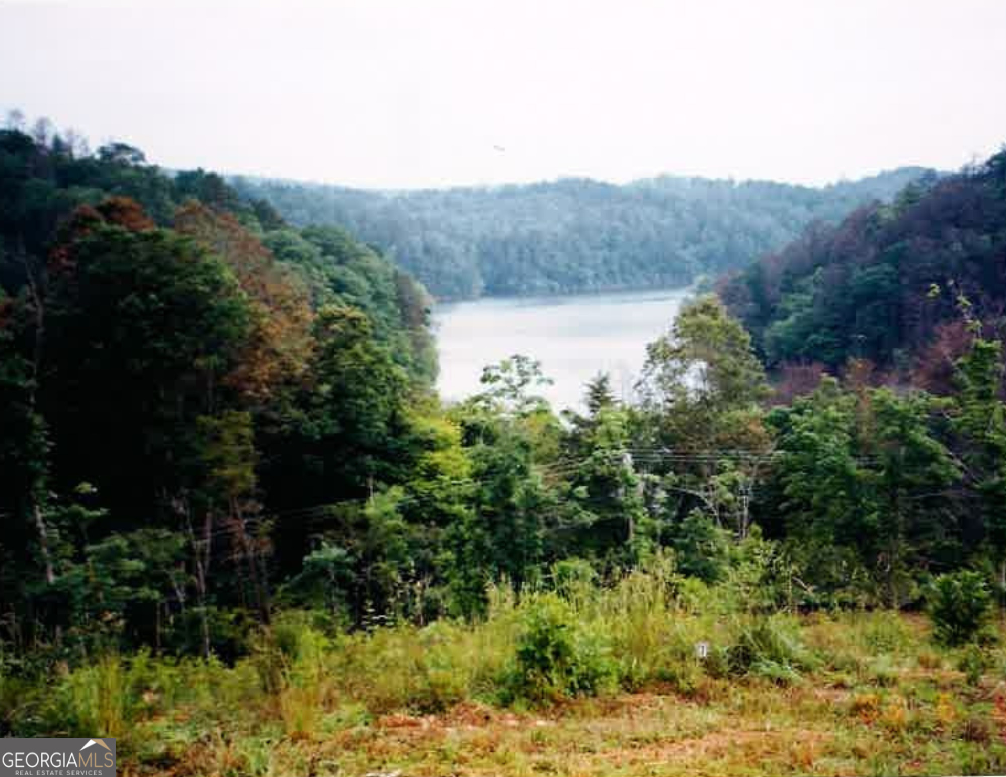 a view of a lake with a mountain