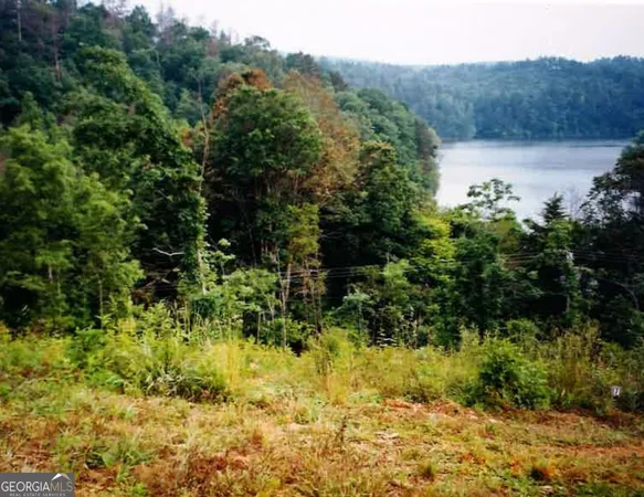 a view of a bunch of trees and bushes