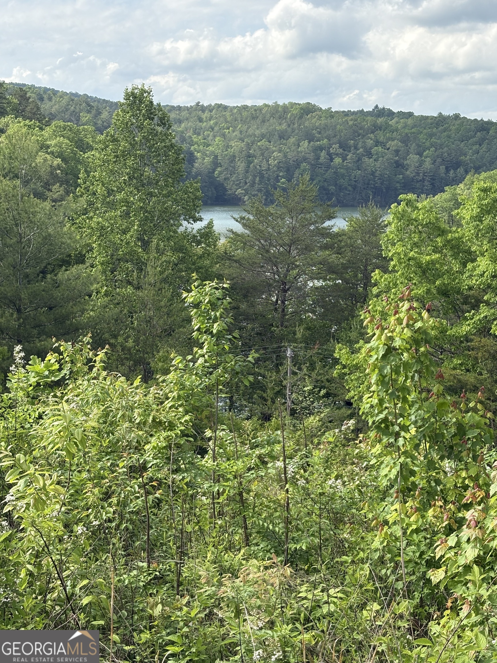 Lot 7 Foothill Estates Lane Murphy, NC 28906 - Photo 3 of 3 a view of a lush green forest with lawn chairs and plants