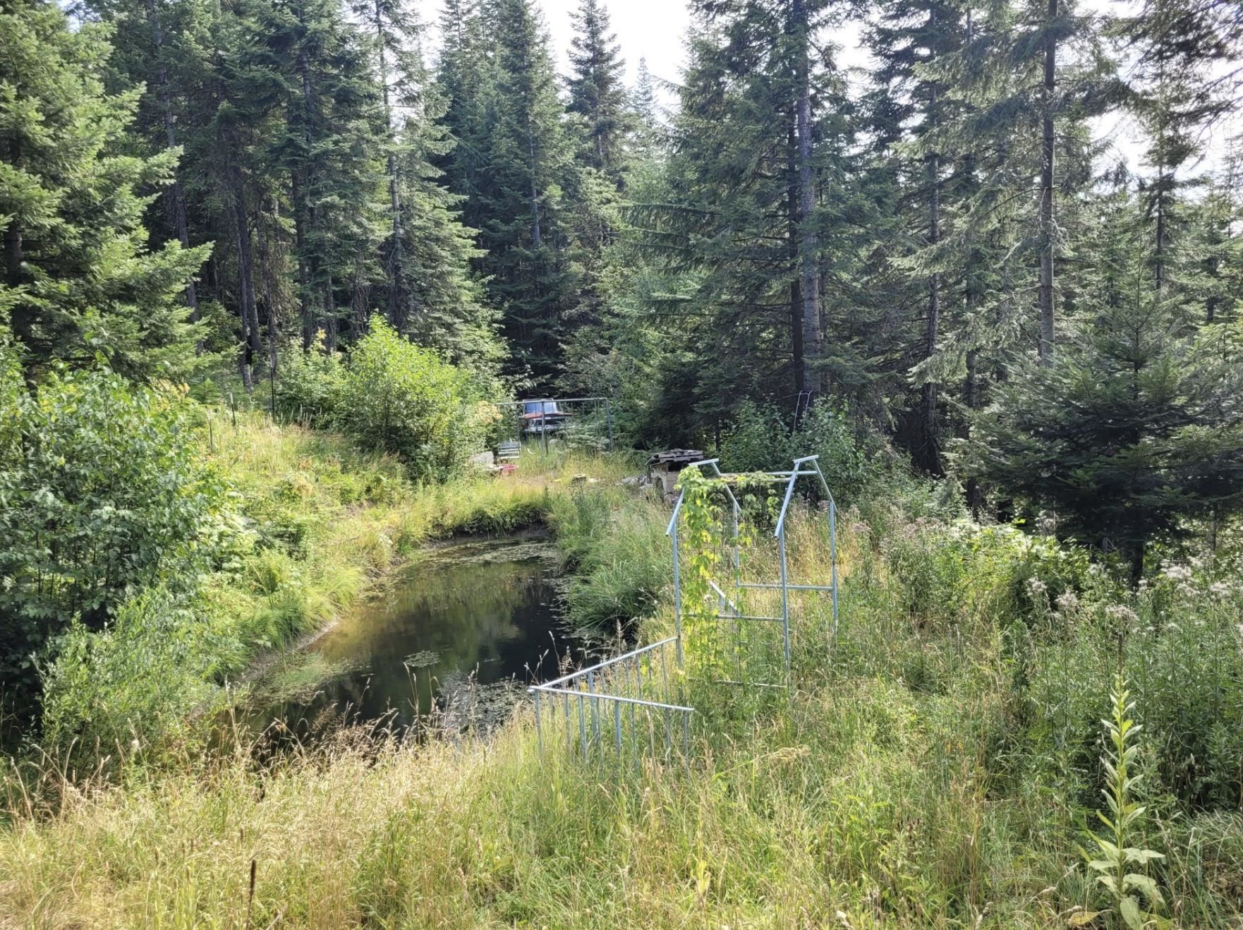 Xxx Xxx Unassigned Address Road Mead, WA 99021 - Photo 8 of 13