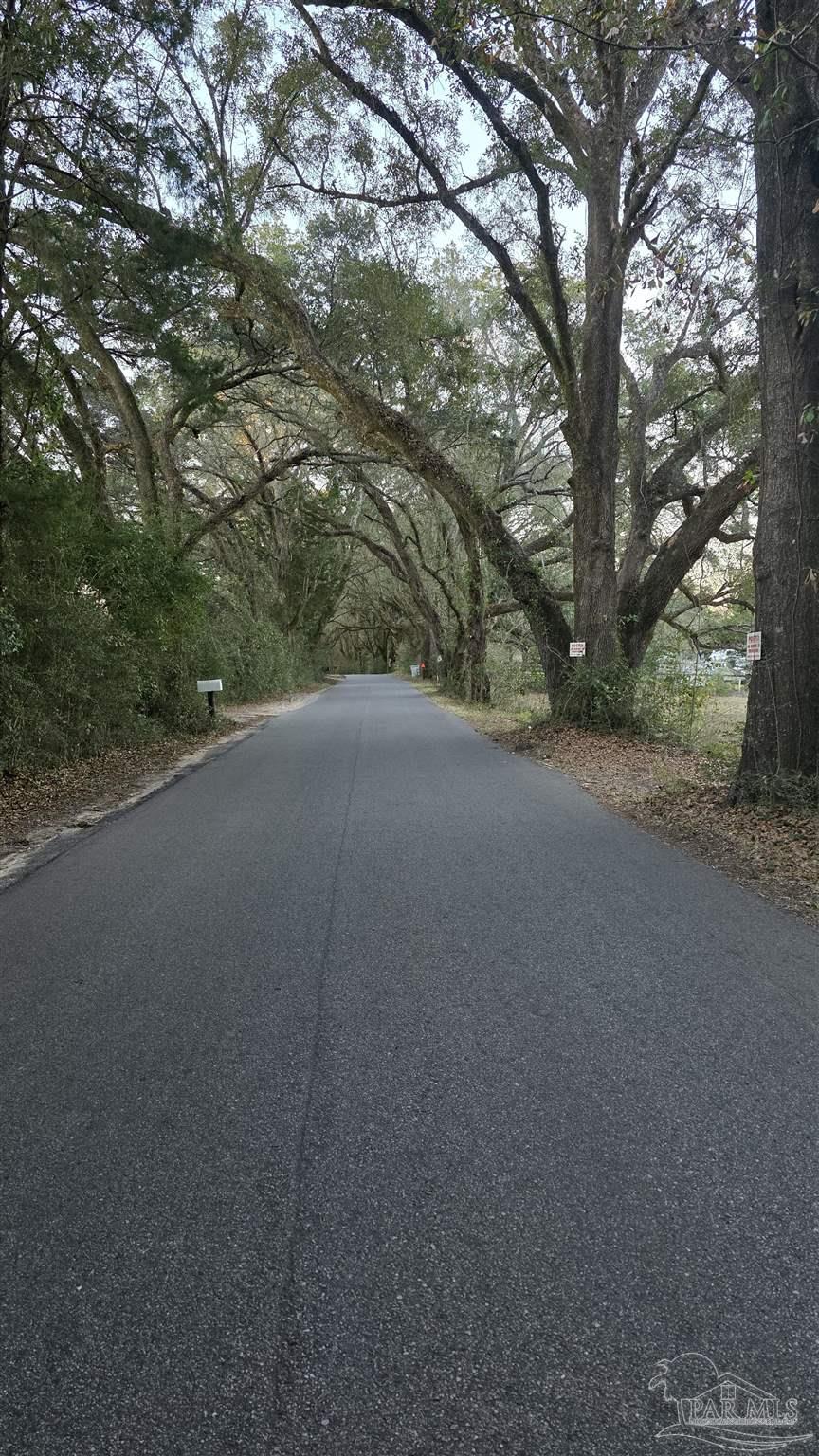 Lot 1 Tidwell Road Pace, FL 32571 - Photo 6 of 11