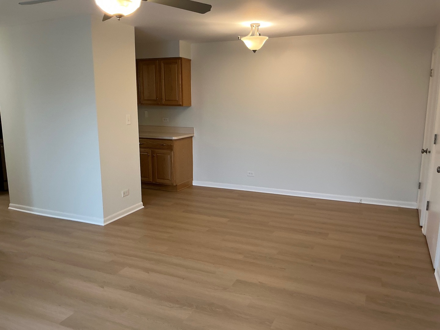 84 West Belvidere Road, Unit 203 Grayslake, IL 60030 - Photo 8 of 15 a view of empty room with wooden floor