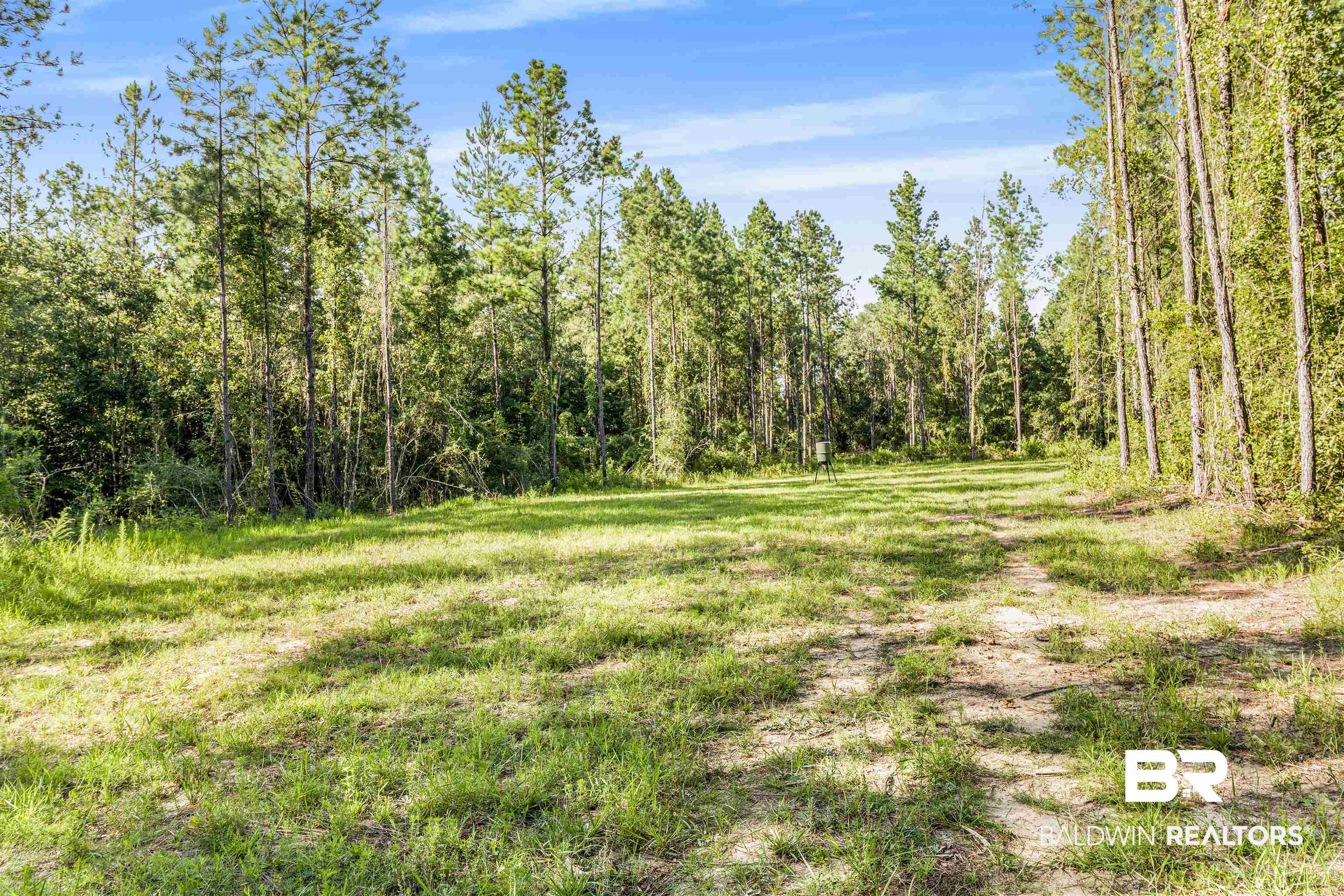 27861 New Hope Church Road Robertsdale, AL 36567 - Photo 13 of 29 View of landscape
