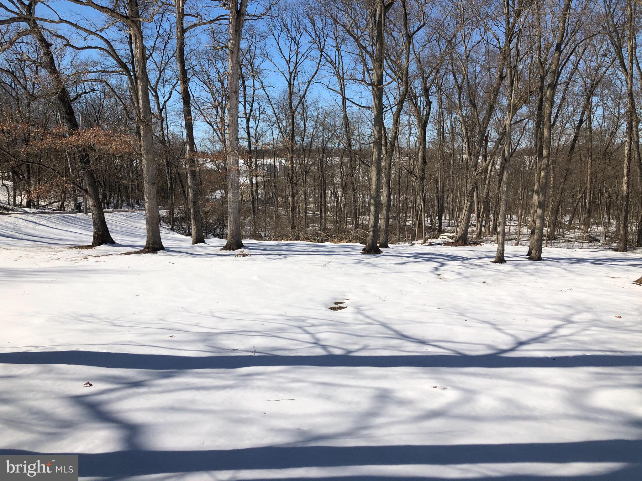 5626 Bowers Road Taneytown, MD 21787 - Photo 36 of 115