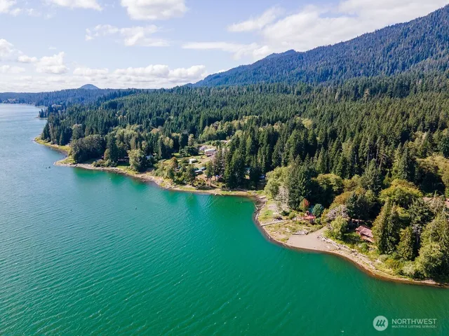 a view of a lake with a mountain and a forest