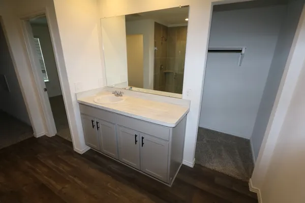a bathroom with a sink and a mirror