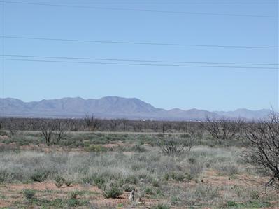 0 Kansas Settlement & Deer Mule Road Pearce, AZ 85625 - Photo 2 of 7
