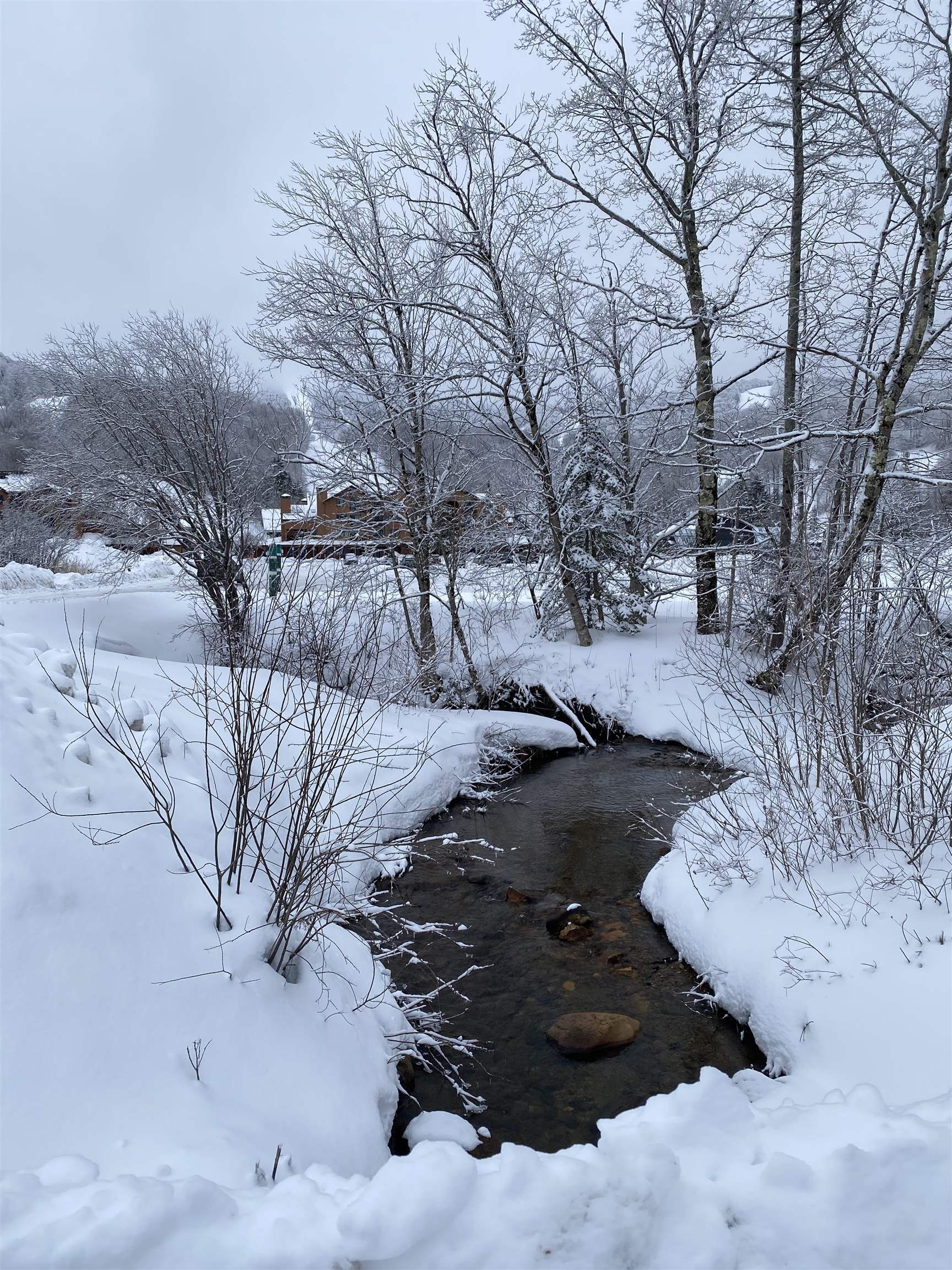 71 Alpine Drive, Unit D408 Killington, VT 05751 - Photo 25 of 31