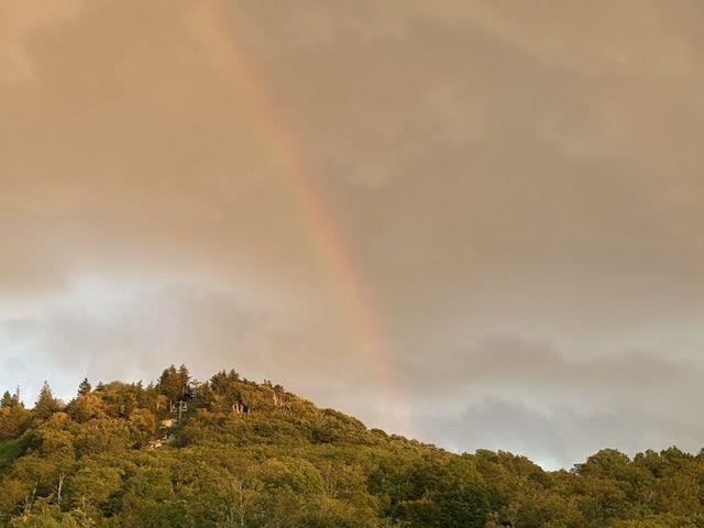 71 Alpine Drive, Unit D408 Killington, VT 05751 - Photo 29 of 31