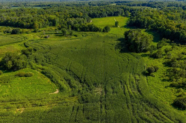 $699,900 | 1788 397th Avenue Northeast, Stanchfield, MN 55080