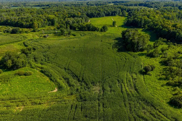 $699,900 | 1788 397th Avenue Northeast, Stanchfield, MN 55080