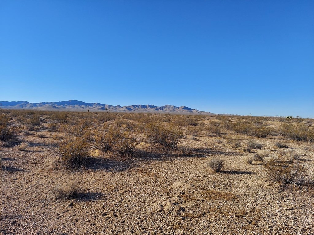 0 Buckthorne Cyn Road, Unit 4 Adelanto, CA 92301 - Photo 1 of 1 Gallery Image 1