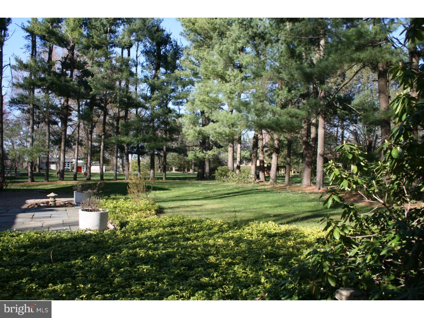 20 Sunset Road Lawrence Township, NJ 08648 - Photo 22 of 25 a view of a park with large trees
