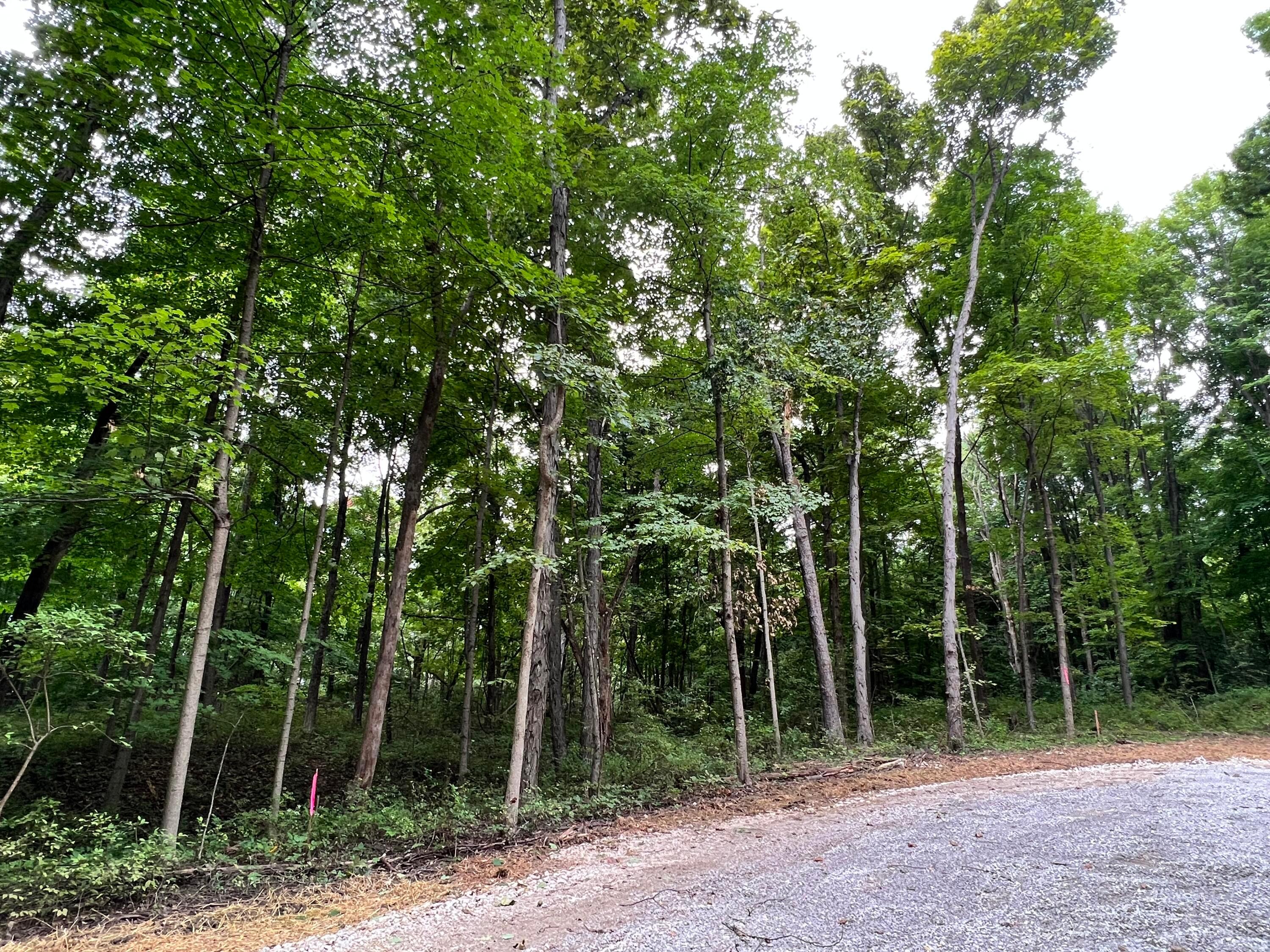 Lot 5 Royalton Road Southwest Lancaster, OH 43130 - Photo 5 of 12 10.07 Wooded Acres