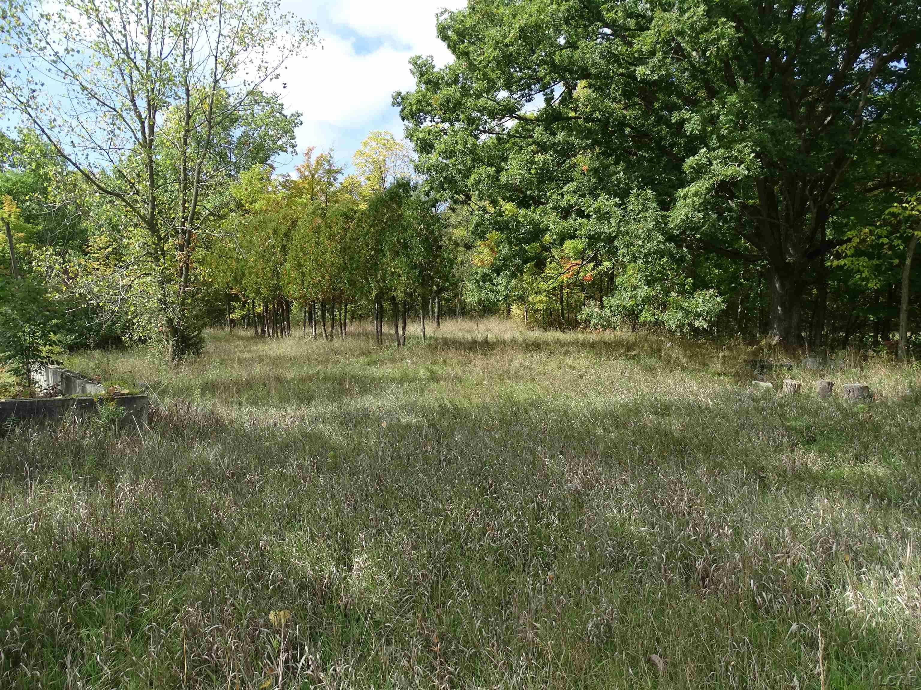 15411 Robison Road Camden, MI 49232 - Photo 9 of 17