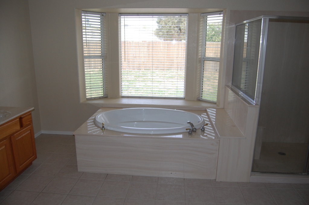 2408 East Cactus Road Phoenix, AZ 85032 - Photo 3 of 4 a bathroom with bathtub and window