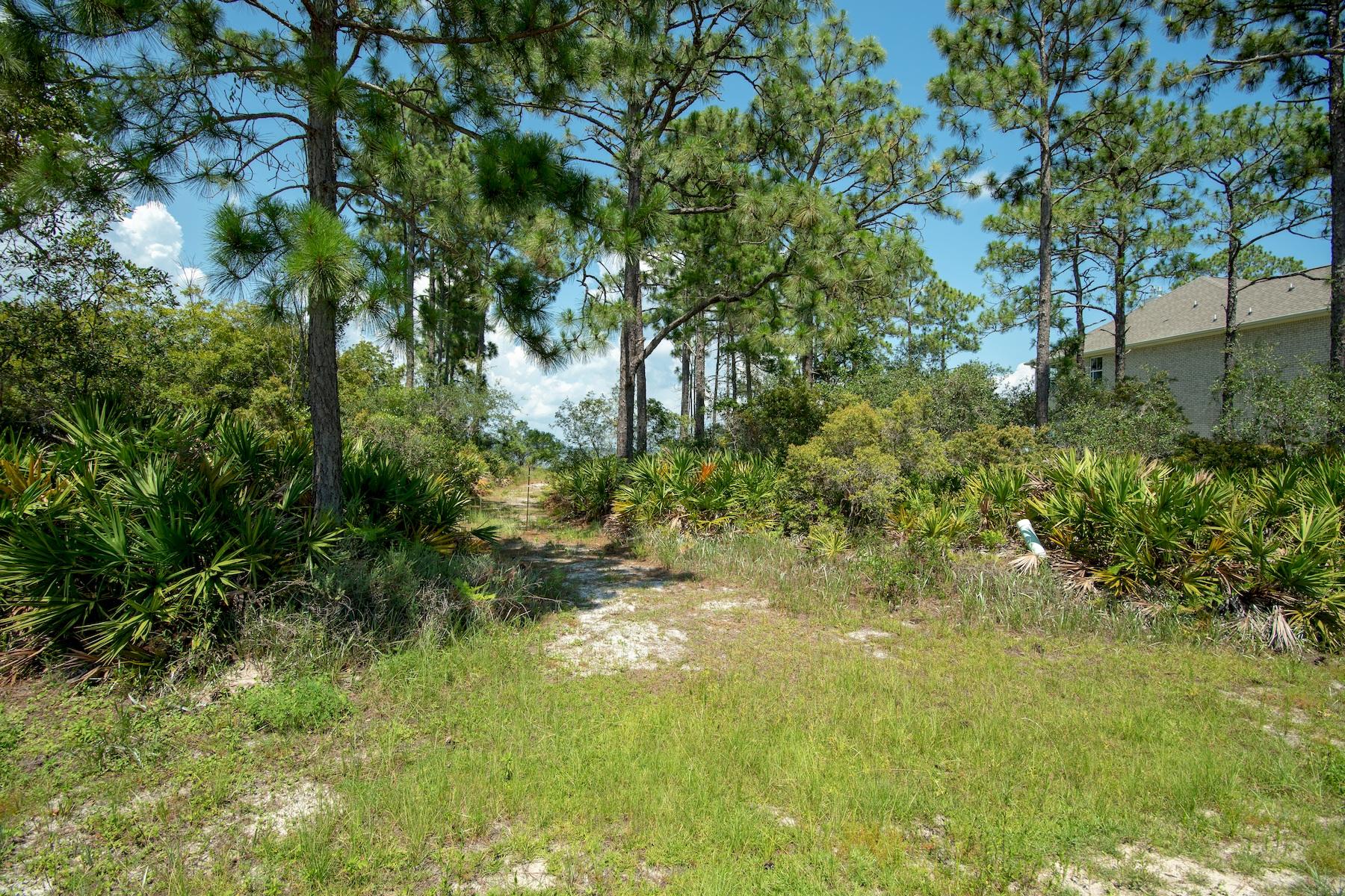 9J Driftwood Point Road Santa Rosa Beach, FL 32459 - Photo 11 of 13 a view of a yard with plants and large trees