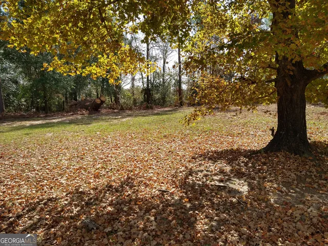 a view of a yard with large trees