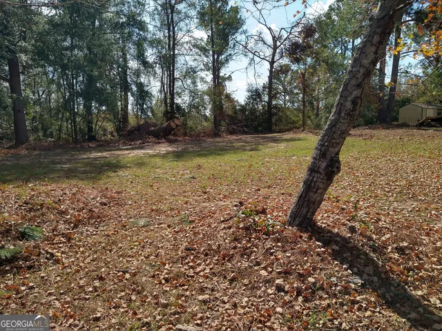 a view of a yard with trees