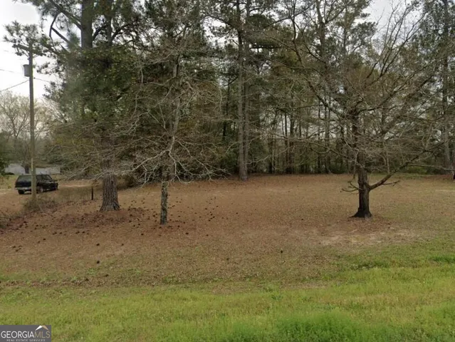 a view of a field with trees in the background
