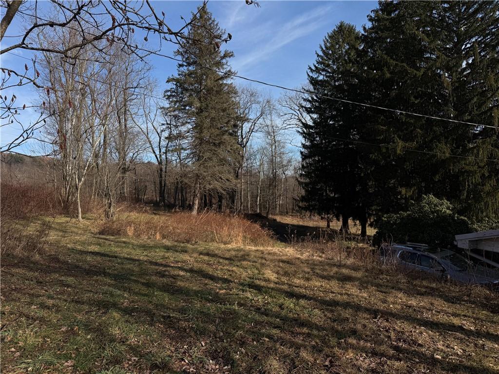 1270 Roaring Run Road Boswell, PA 15531 - Photo 18 of 22