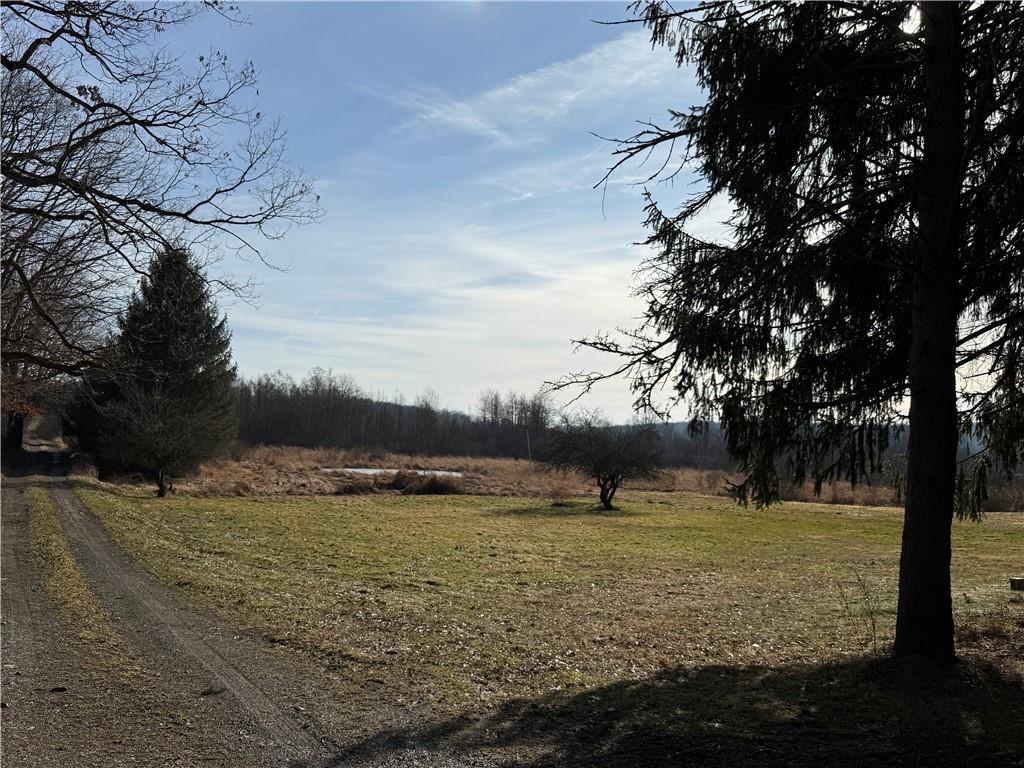 1270 Roaring Run Road Boswell, PA 15531 - Photo 5 of 22