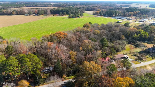 a view of a yard with plants and large trees