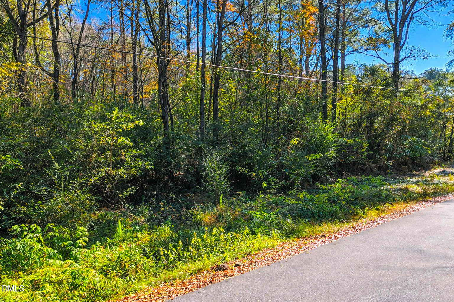 304 Peele Street Roxobel, NC 27872 - Photo 14 of 15 10