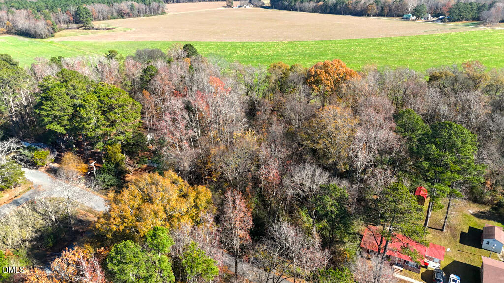 304 Peele Street Roxobel, NC 27872 - Photo 15 of 15 a view of a yard with plants and large trees