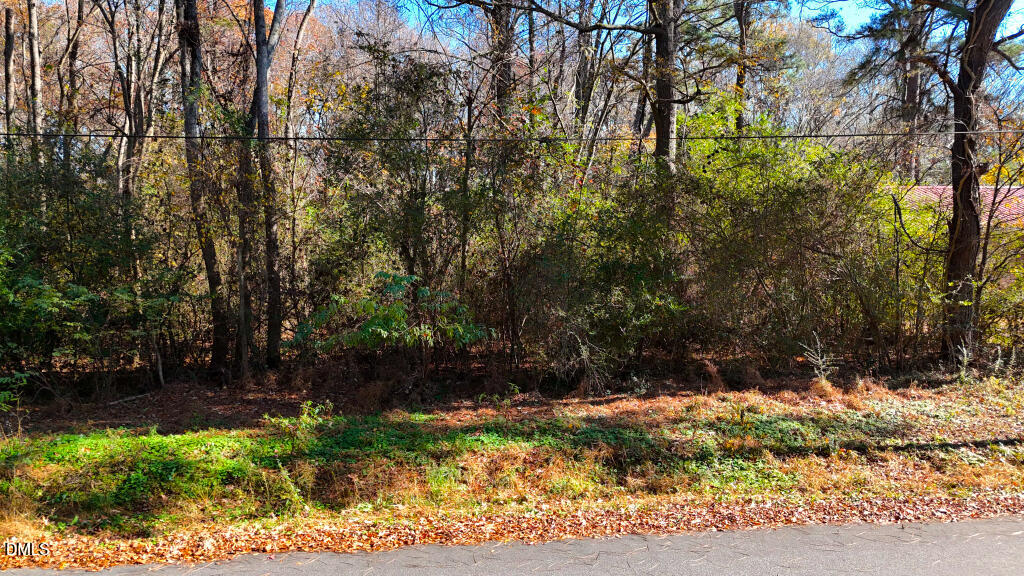 304 Peele Street Roxobel, NC 27872 - Photo 7 of 15 a view of outdoor space