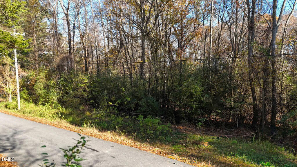 304 Peele Street Roxobel, NC 27872 - Photo 9 of 15 a view of backyard with green space