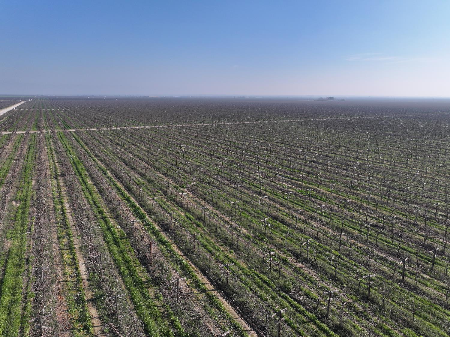 0 Wallace Road Delano, CA 93215 - Photo 2 of 5