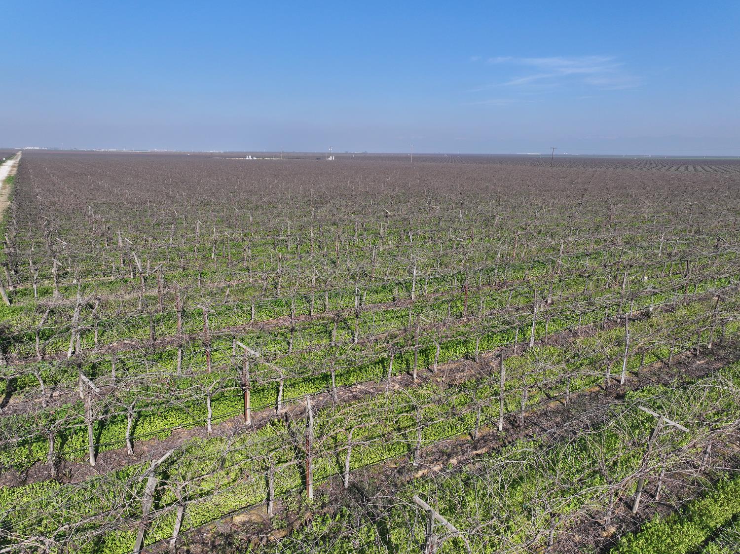 0 Wallace Road Delano, CA 93215 - Photo 5 of 5