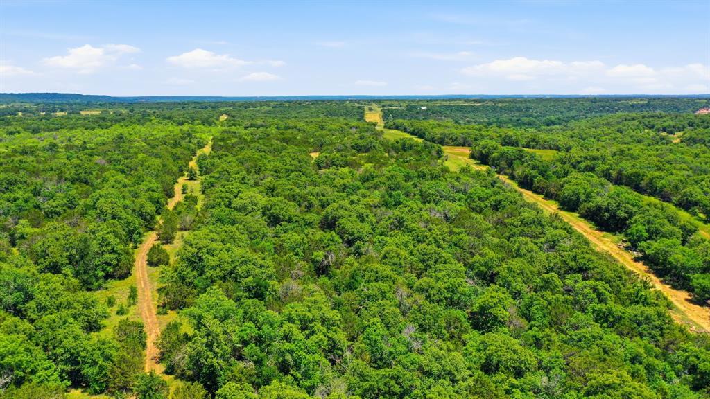 4320 Dobbs Valley Road Millsap, TX 76066 - Photo 34 of 40 a view of a field with plants and large trees