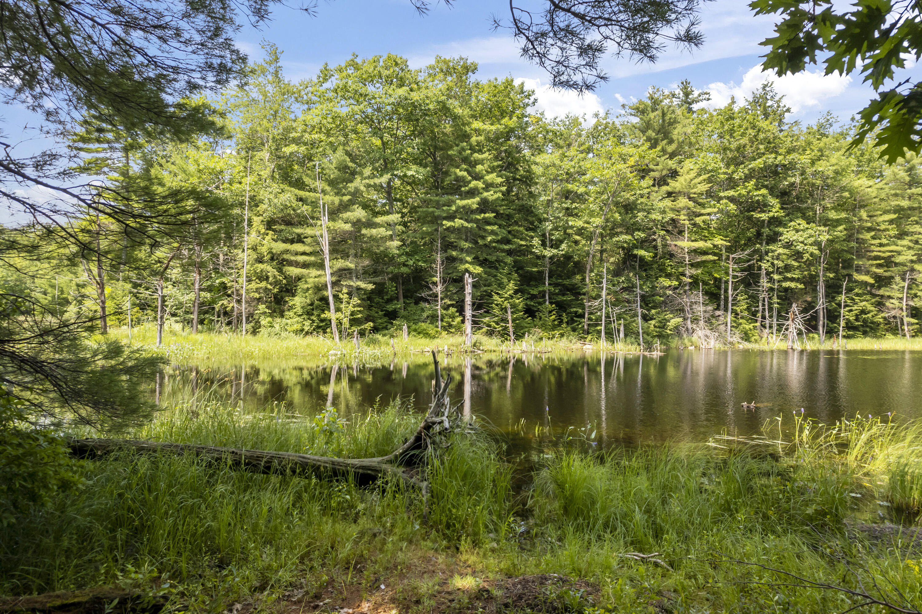 393 Sutherland Pond Road Sabattus, ME 04280 - Photo 81 of 90 393 Sutherland Pond Rd_177