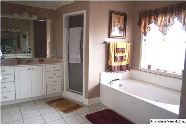 555 Blair Farm Road Odenville, AL 35120 - Photo 20 of 32