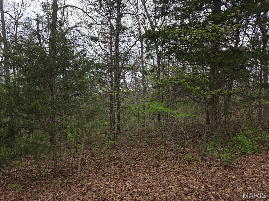 19227 Melrose Road Glencoe, MO 63038 - Photo 2 of 5
