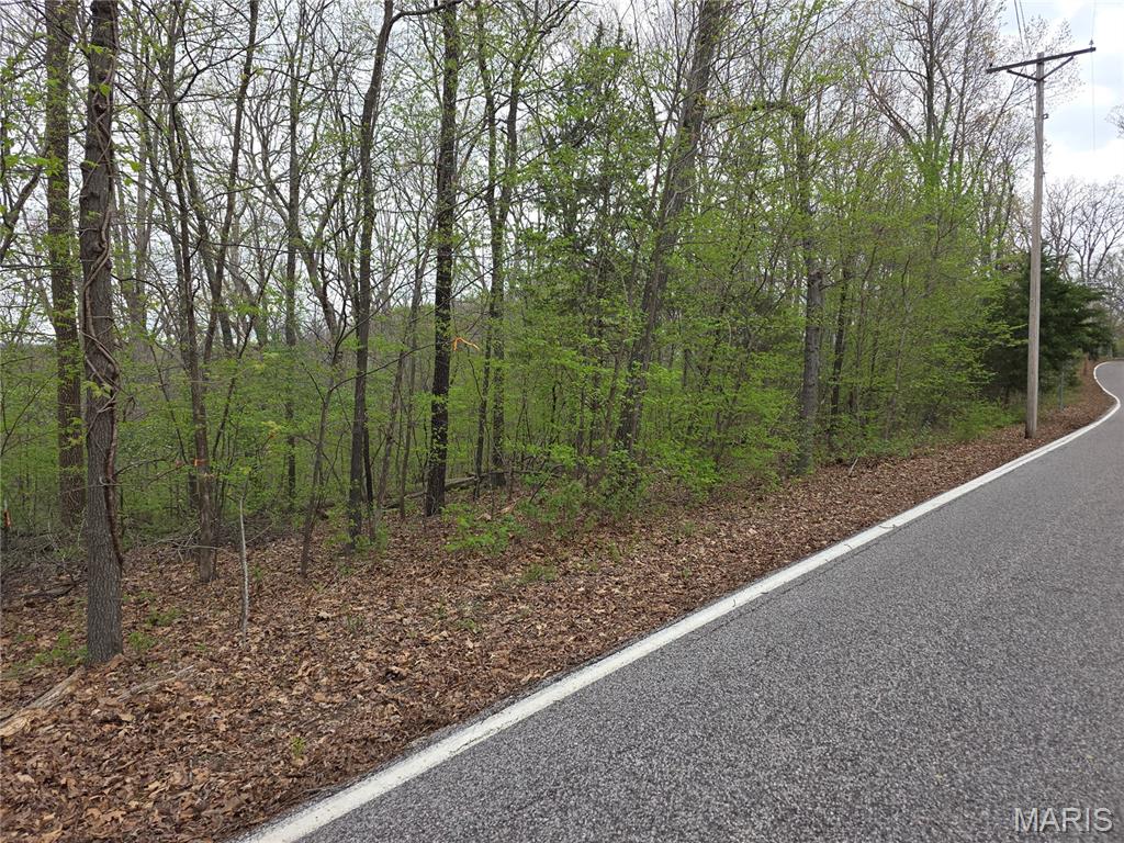 19227 Melrose Road Glencoe, MO 63038 - Photo 3 of 5