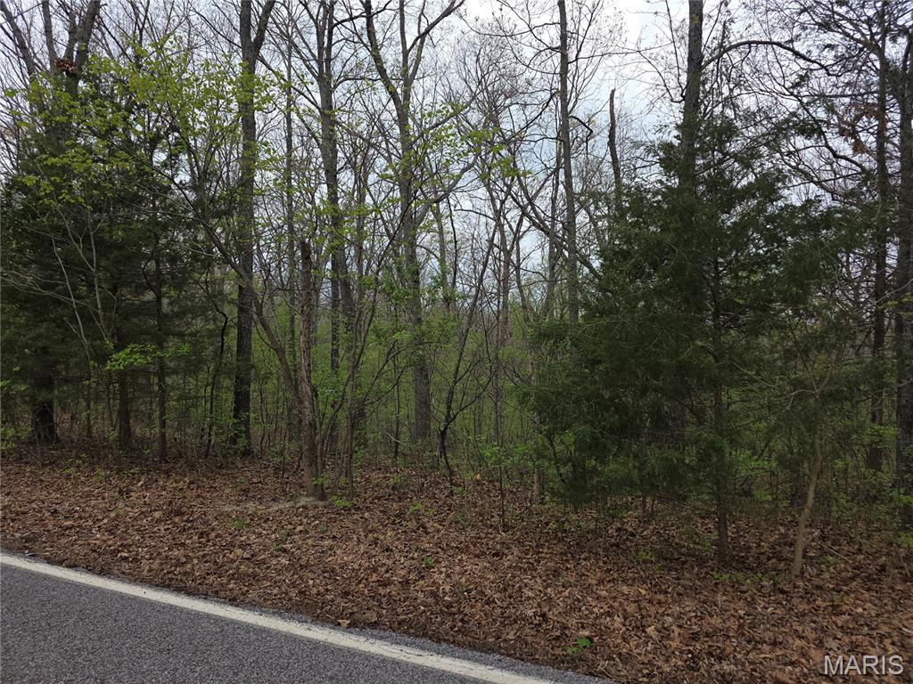 19227 Melrose Road Glencoe, MO 63038 - Photo 4 of 5